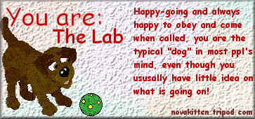 You are: The Lab / Happy-going and always happy to obey and come when called, you are the typical "dog" in most ppl's mind, even though you usually have little idea on what is going on! / novakitten.tripod.com