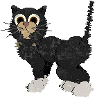 Bartok with his tail straight